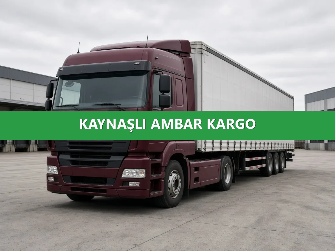 Kaynaşlı Ambar Kargo